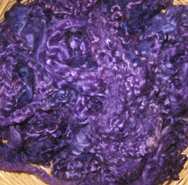 Purple shades Teeswater Dyed Locks
